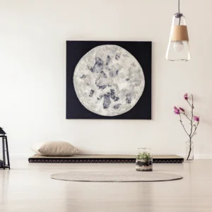 Estudios feng shui